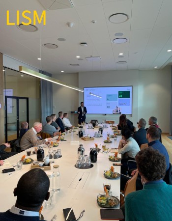 LISM Professional Business Consultation Services